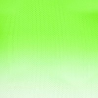 Camiseta Bidi Badu Crew Gradiant Neon Blanc Vert